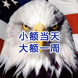 盐边要账公司